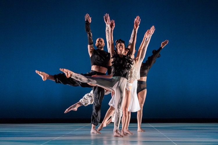 dancers of the Trisha Brown Company in a line facing us wearing fantastical costumes in various shades of black gray and white with midriffs revealed on some, parts of legs and arms revealed on others.the dancers face the audience each with varying degress of leg extensions